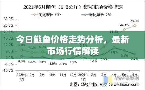 今日鲢鱼价格走势分析,最新市场行情解读