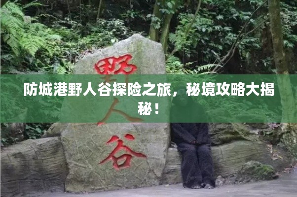 防城港野人谷探险之旅，秘境攻略大揭秘！