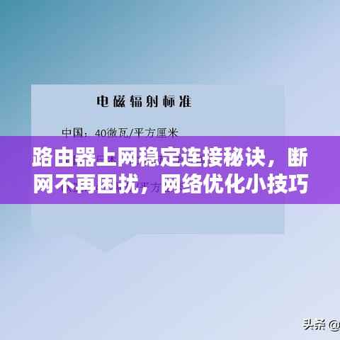 路由器上网稳定连接秘诀,断网不再困扰,网络优化小技巧分享!